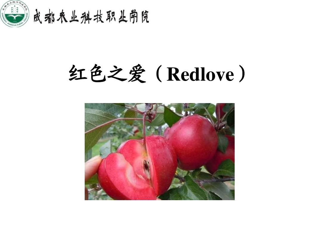 红色之爱(Redlove)