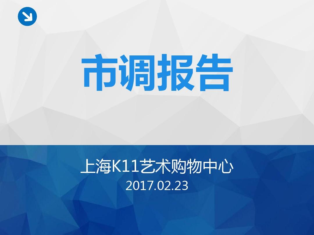 2017年上海K11购物艺术中心市调报告(百度文库)