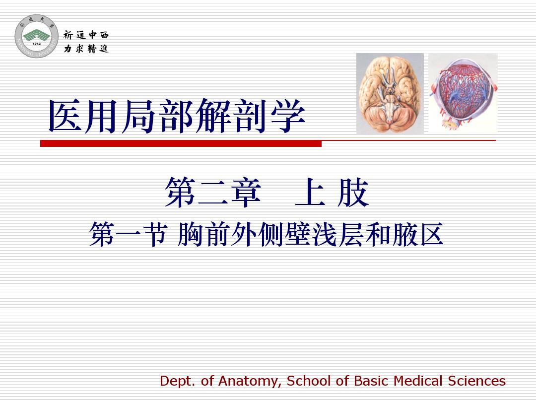 医用局部解剖学-胸前外侧壁浅层和腋区