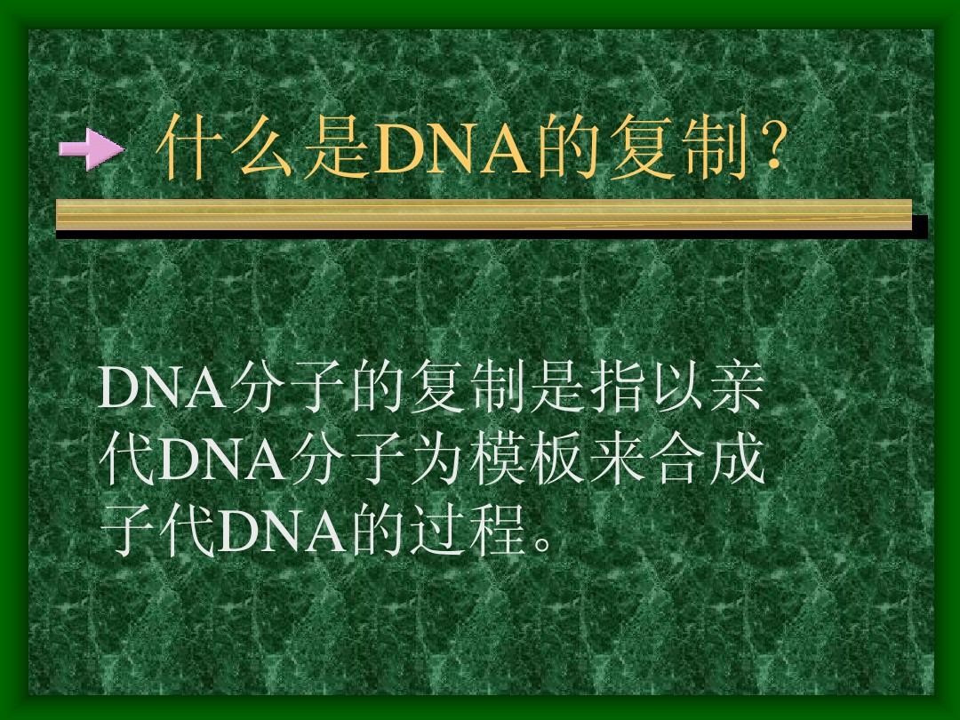 高中生物多媒体教学课件—DNA的复制