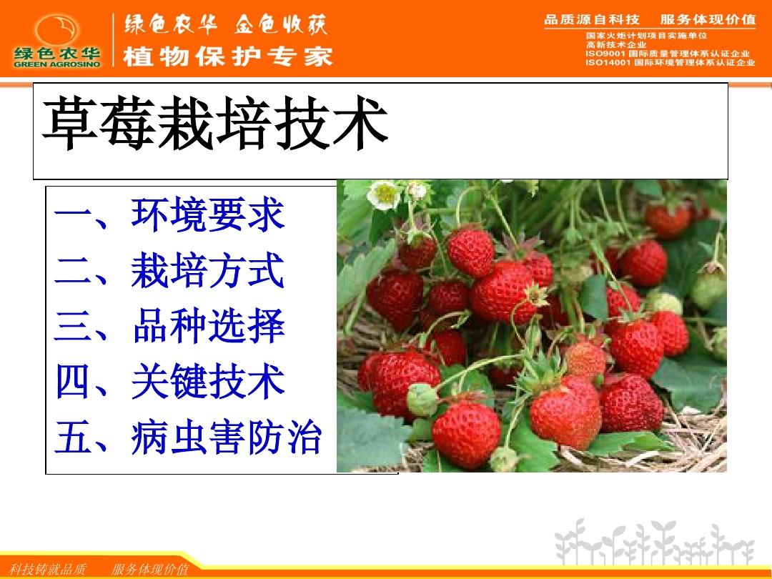 草莓管理及病虫害防治