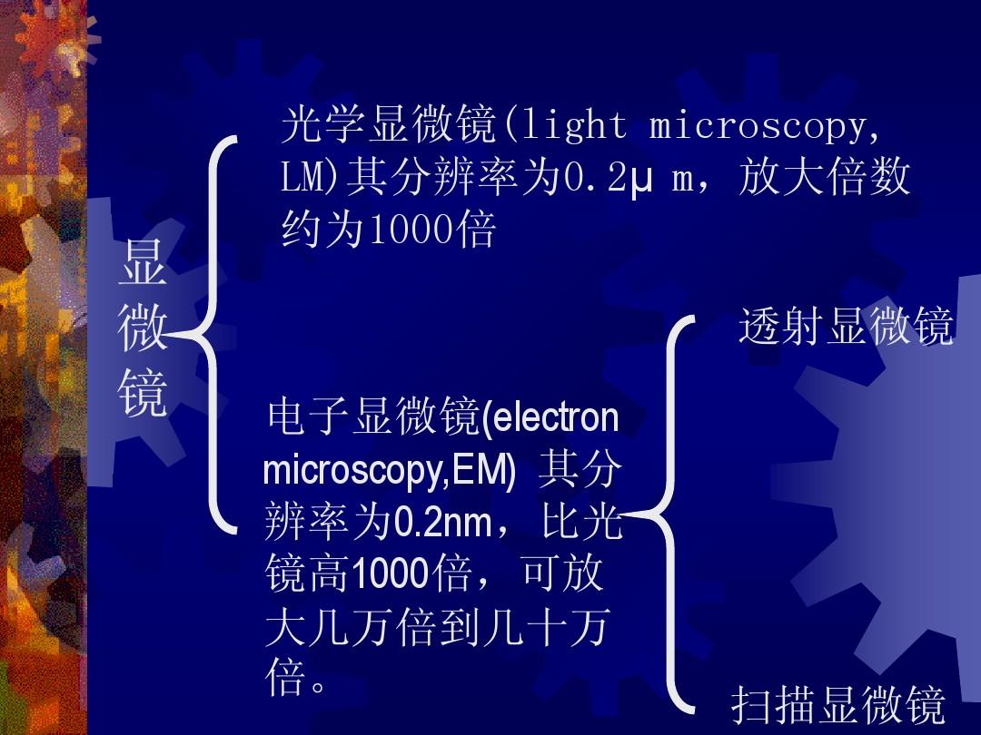电子显微镜技术2011.9.20