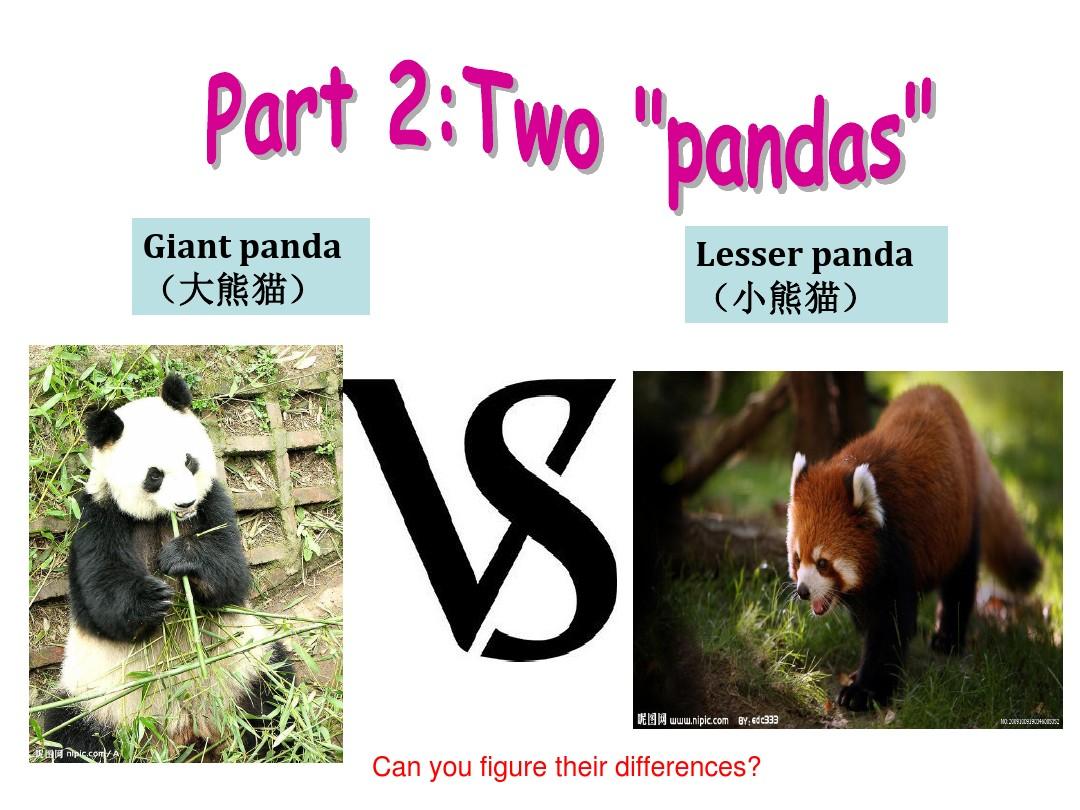 介绍熊猫panda的PPT