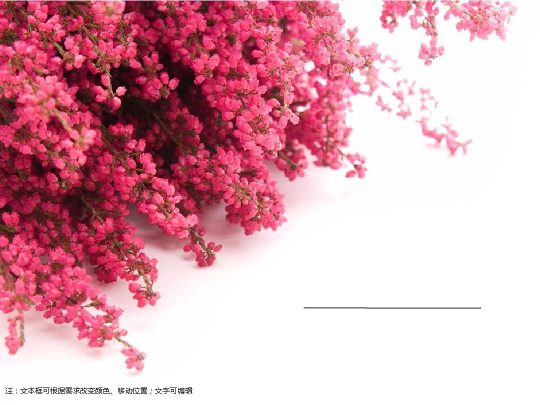 粉红花墙