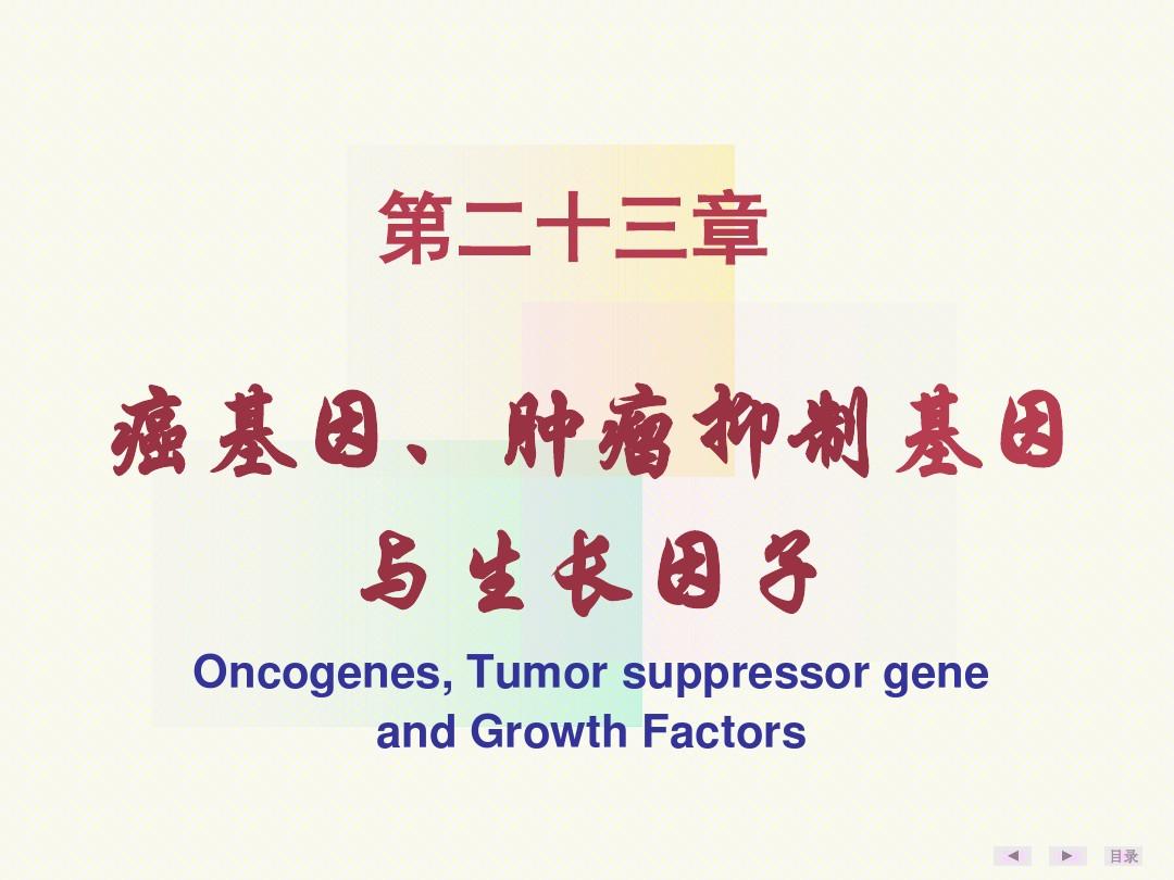 癌基因、肿瘤抑制基因与生长因子