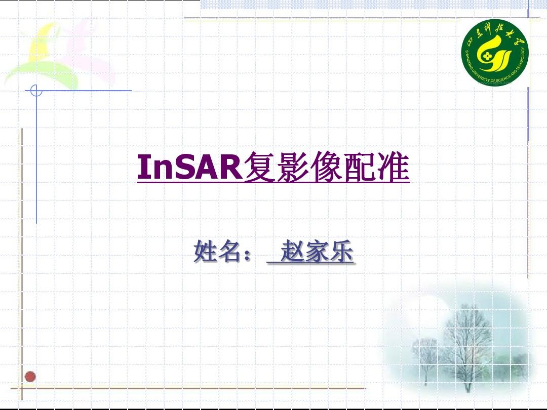 INSAR复影像配准方法