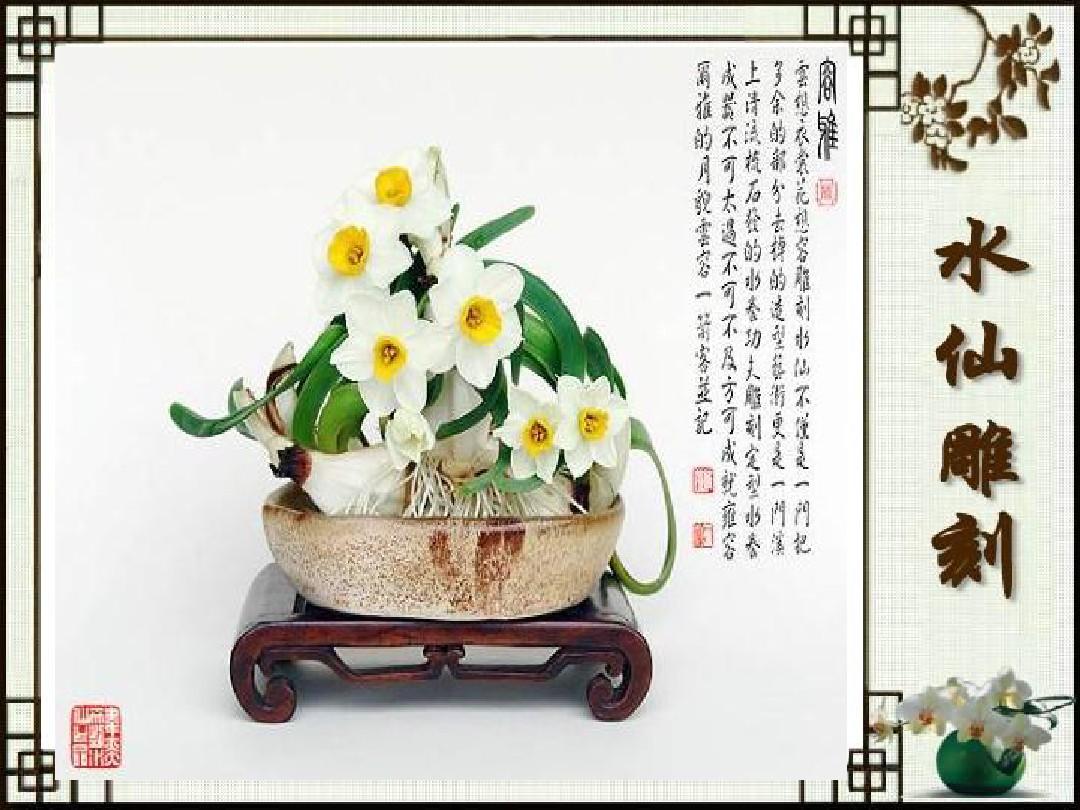 专题二：水仙花雕刻与养护