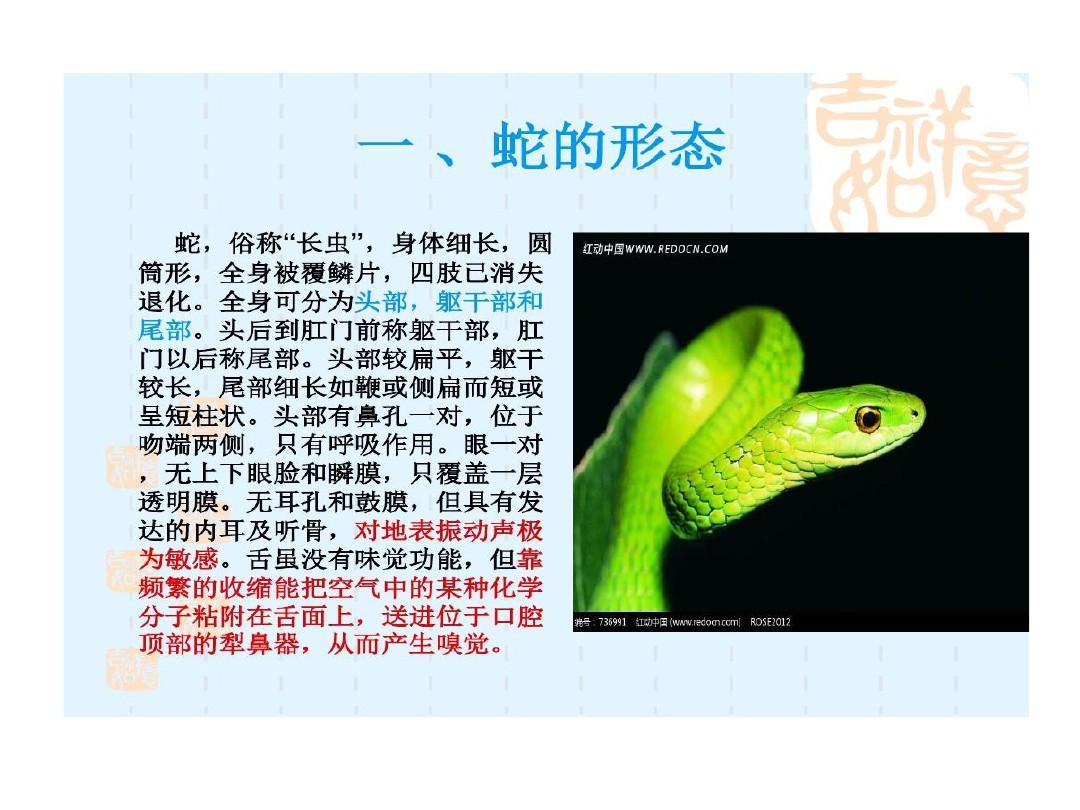 蛇生物学特性共16页文档