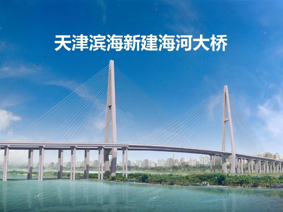 天津滨海新区海河大桥简介