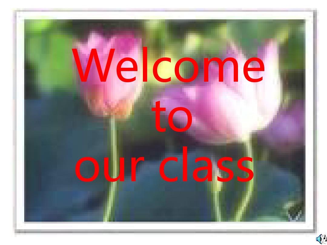 八年级英语Welcome-to-our-class课件