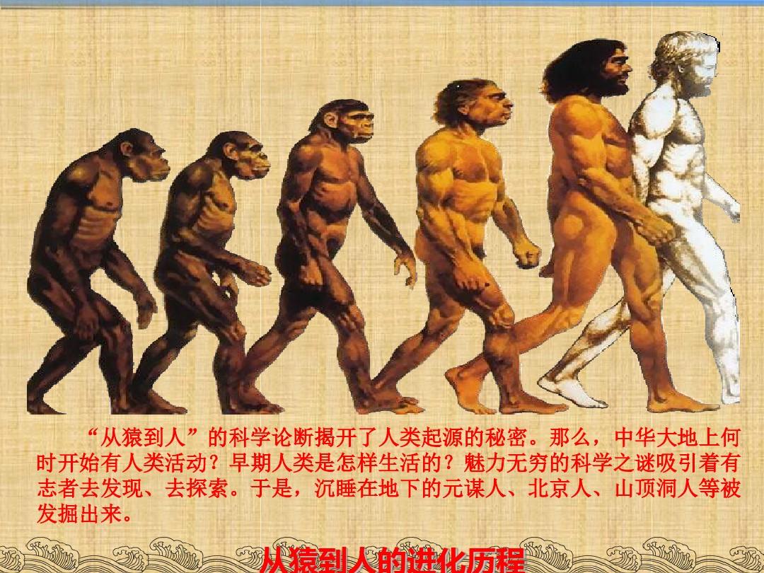 人教2016版历史七上第一课中国早期人类的代表——北京人 (共46张PPT)