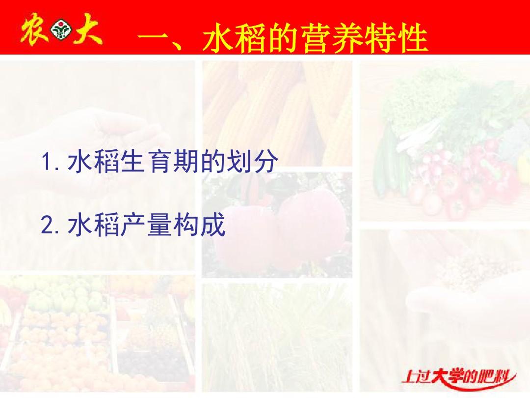 水稻高产栽培与施肥管理技术(1)