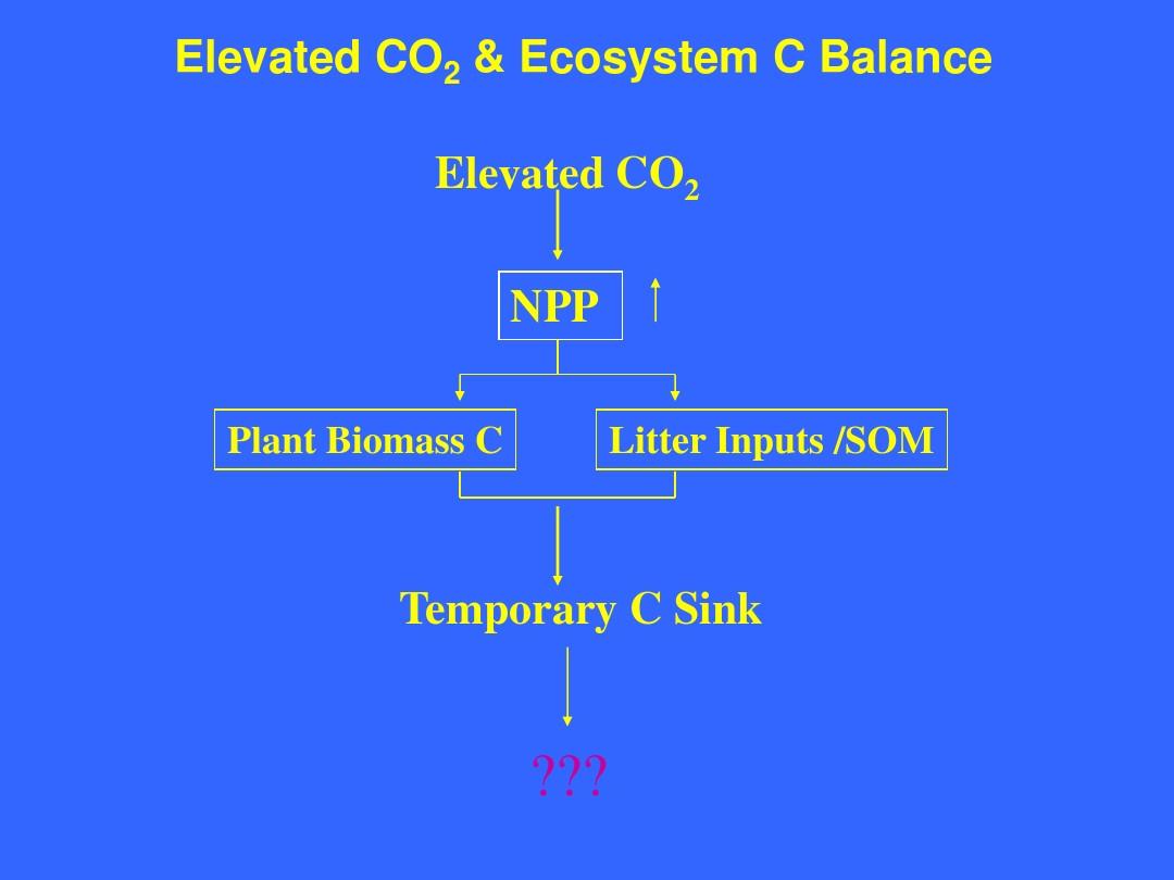 Elevated CO2 on belowground Lecture
