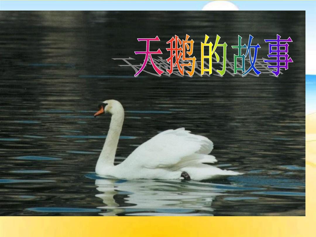 北京版四年级下《天鹅的故事》