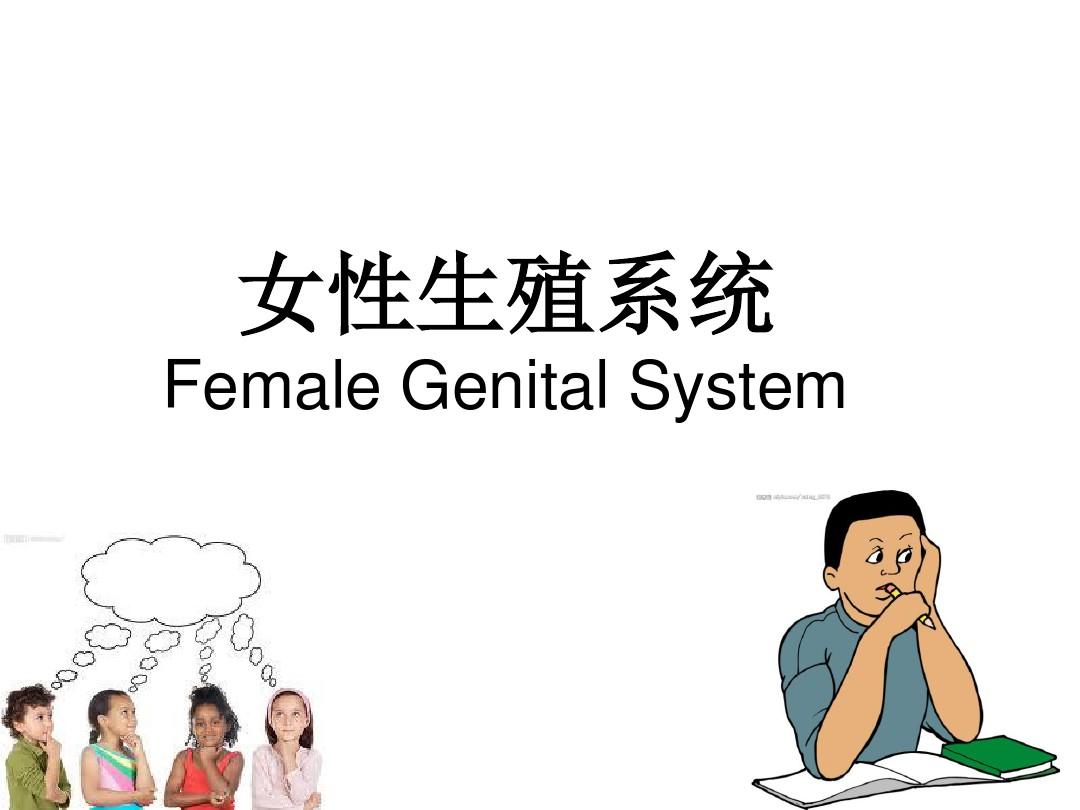 女性生殖系统解剖教学课件