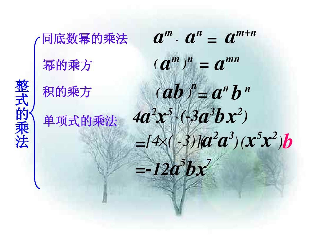 整式的乘法和乘法公式_复习课课件