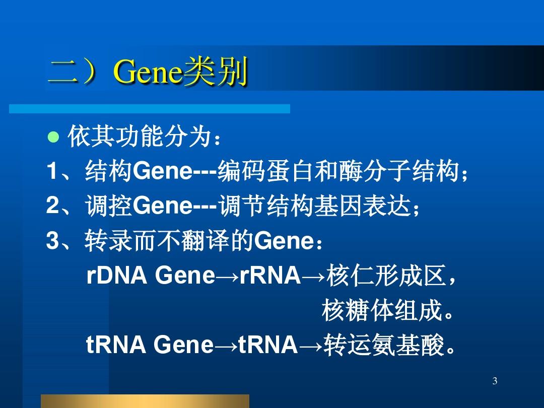 真核生物基因结构