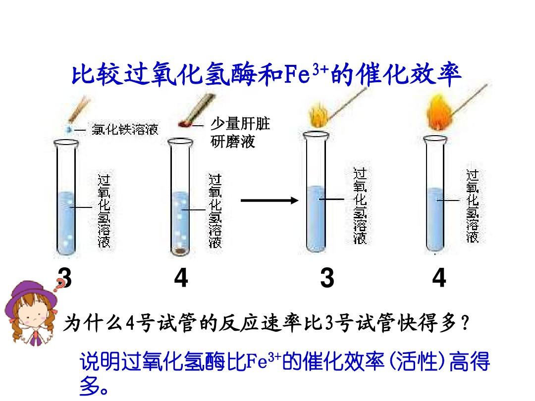 第1节 降低化学反应活化能的酶2课时
