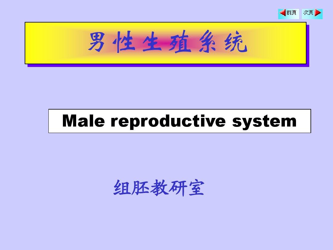 男性和女性生殖系统介绍