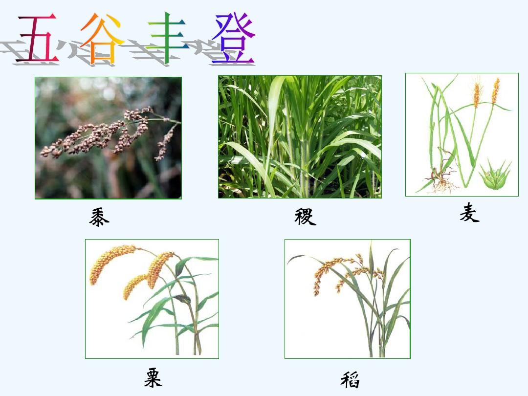 古代中国的农业经济 PPT课件