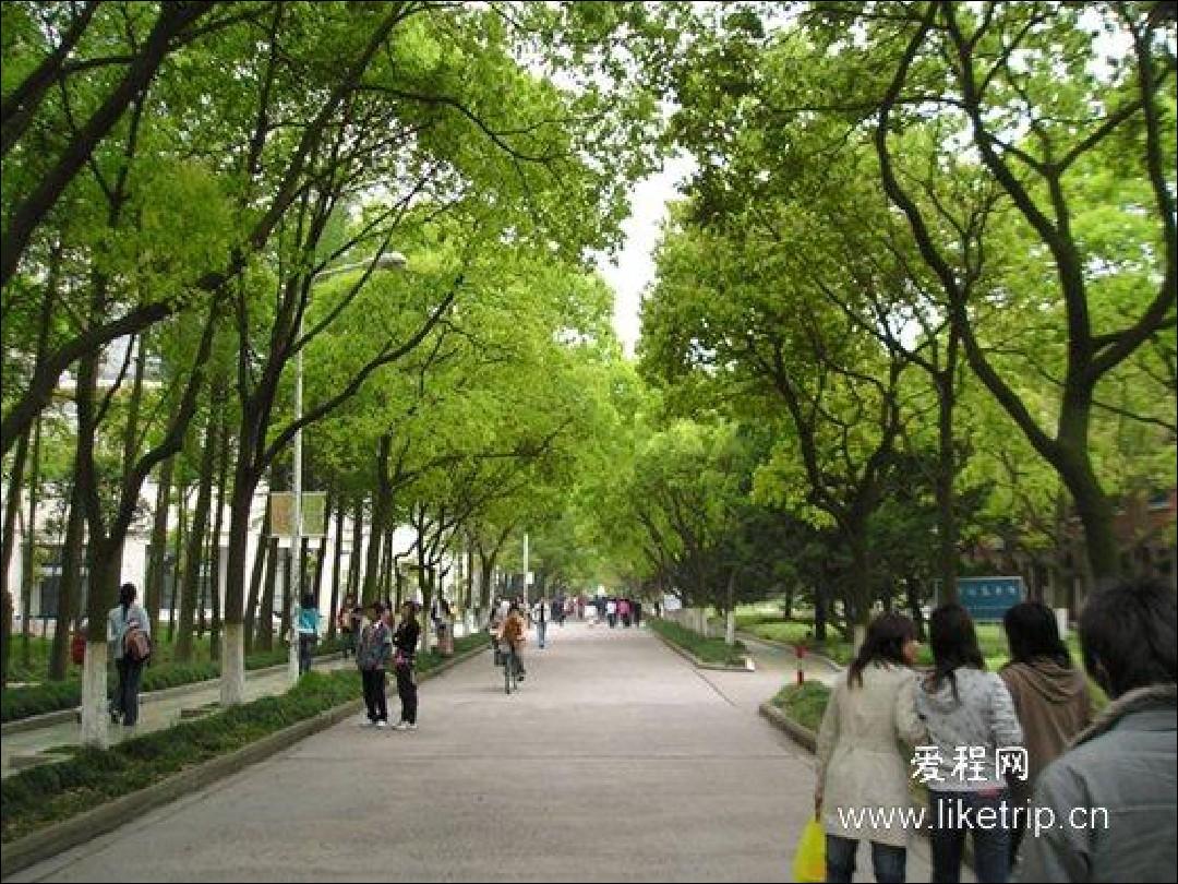 中国著名大学风景高清图  上海财经大学