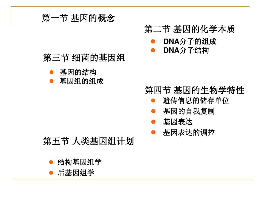 第一篇 医学遗传学基础 第一章  人类基因和基因组