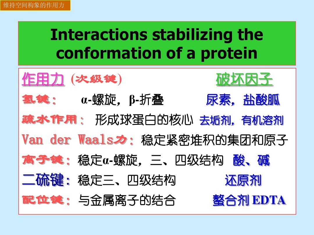 3蛋白质高级结构与性质