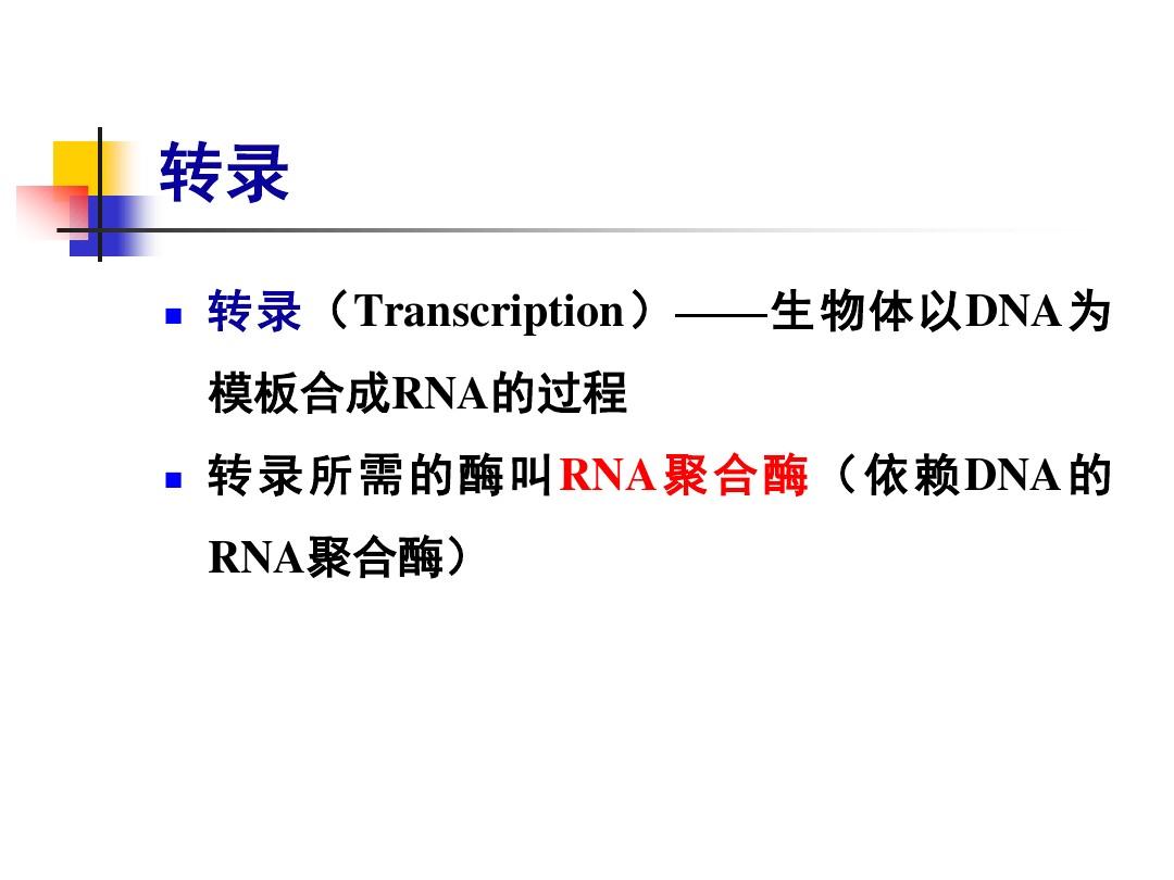 浙大生物化学课件16：RNA的生物合成