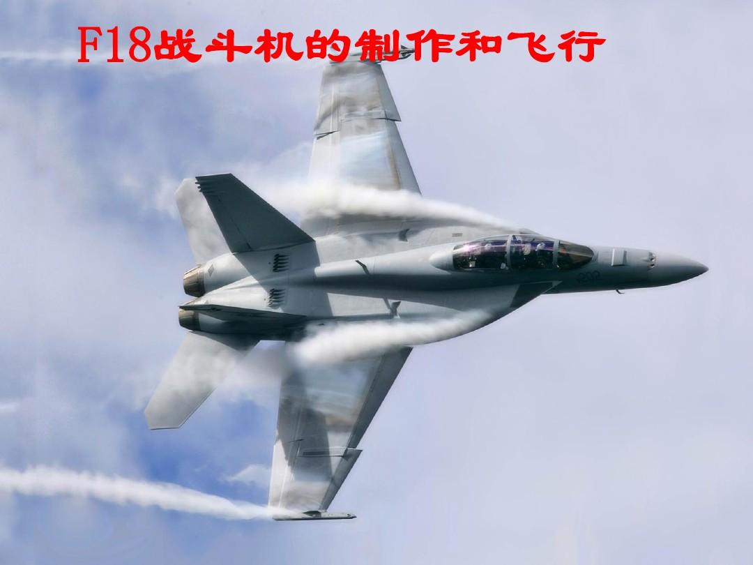 F18_大黄蜂战斗机简介