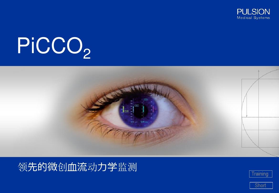 PiCCO2使用(中文)