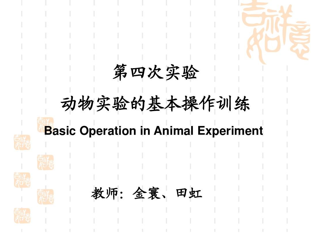 动物实验技术操作训练