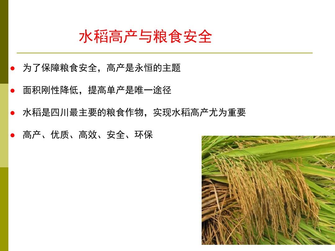 水稻超高产栽培技术2015