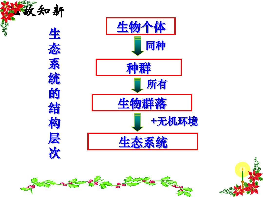 第一节生态系统的结构(公开课用)