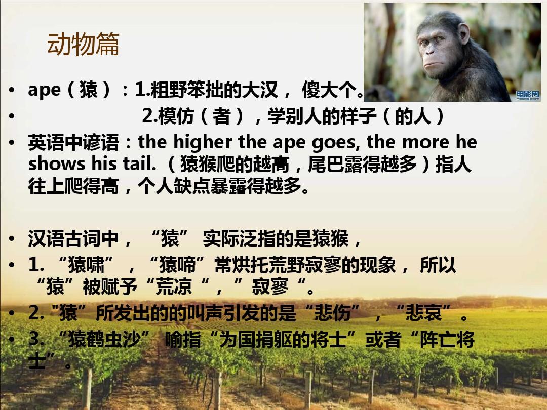英语与汉语动植物词语的不同概要