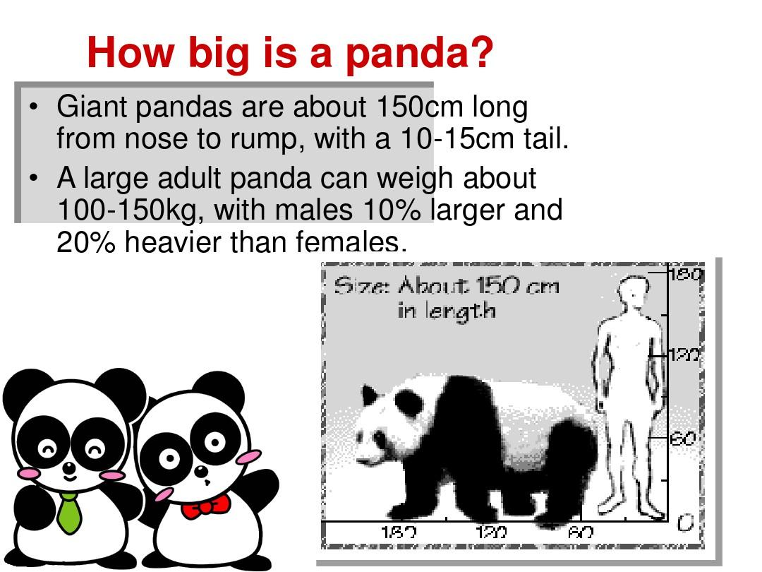 Introduction-of-Giant-Panda大熊猫英文介绍教学文稿
