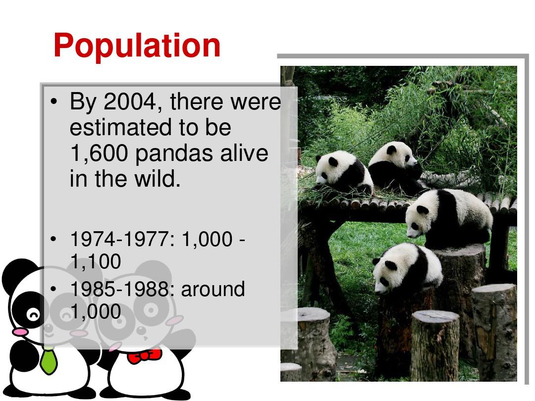 Introduction-of-Giant-Panda大熊猫英文介绍教学文稿
