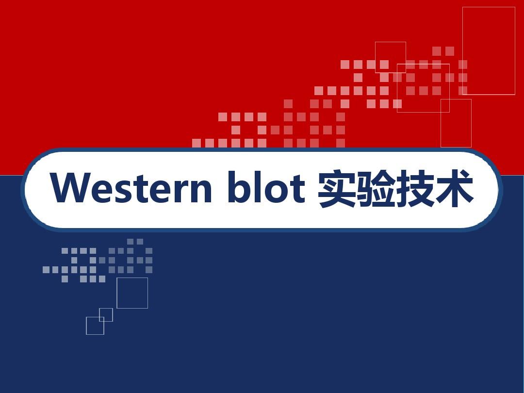 Western blot WB原理流程 PPT