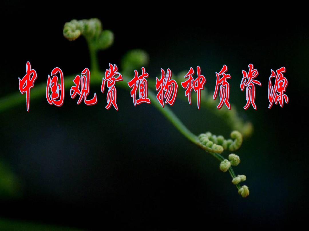 中国观赏植物种质资源情况