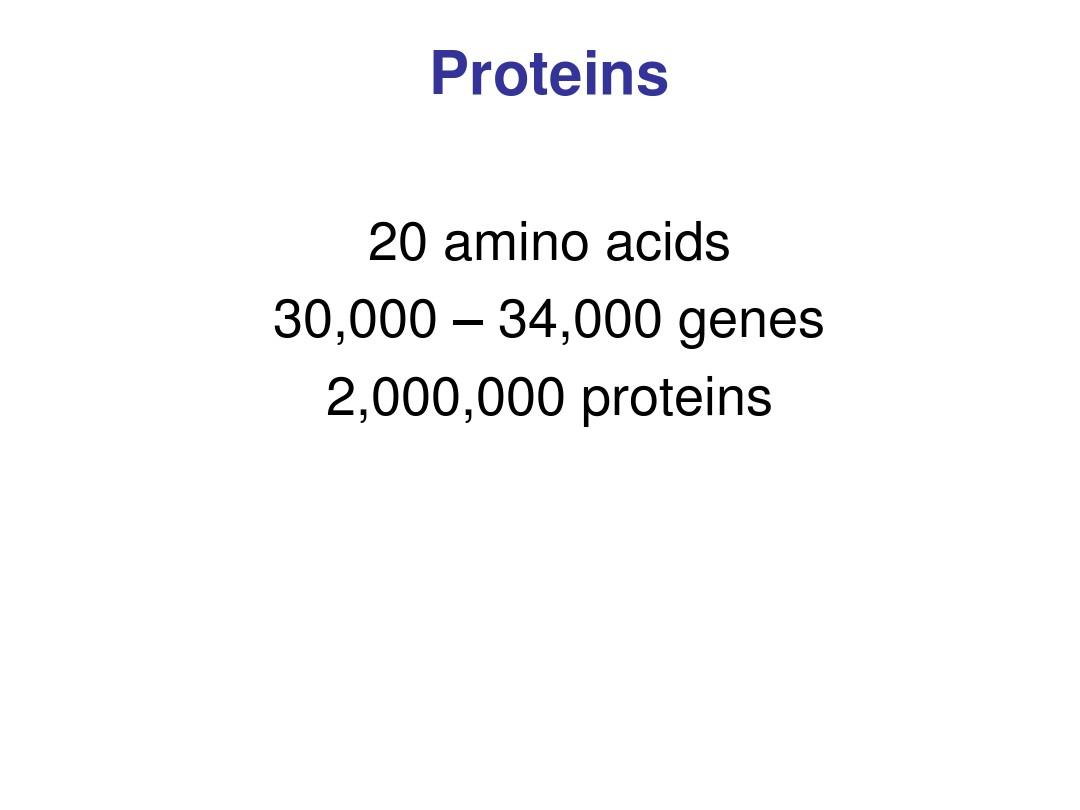 An Introduction of Protein