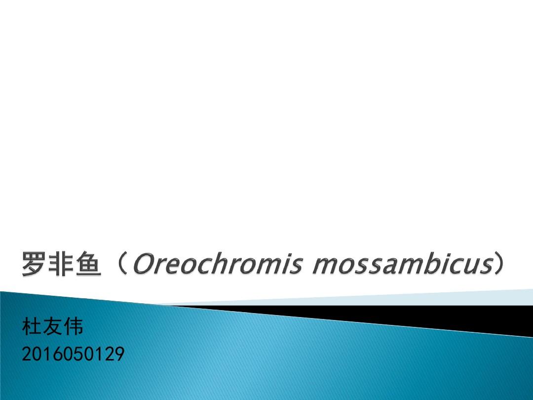 罗非鱼(Oreochromis mossambicus)