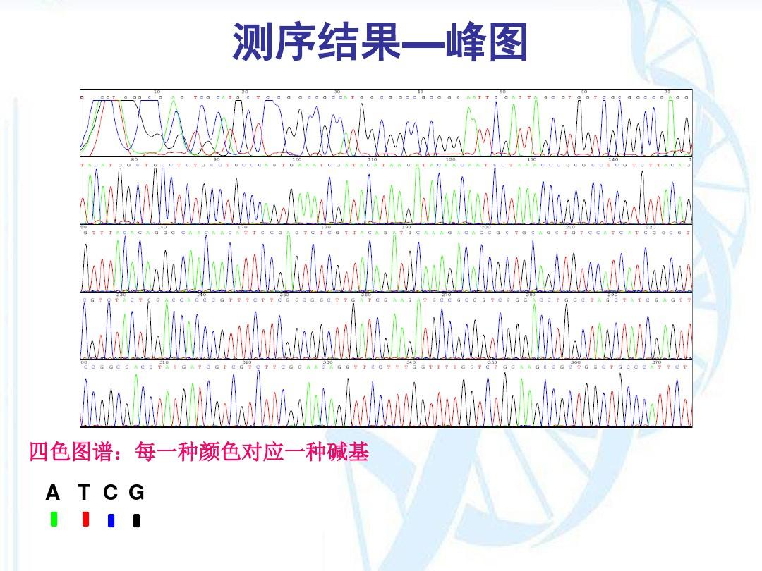 DNA测序分析常见问题整理