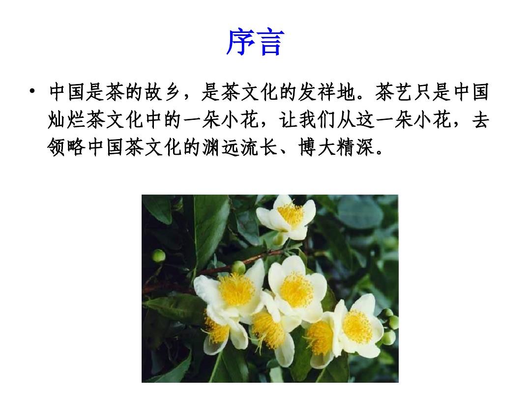 中国茶文化课件(完整版)