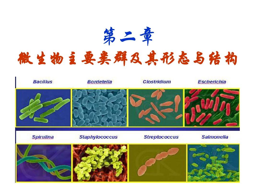 第二章 微生物主要类群及其形态与结构