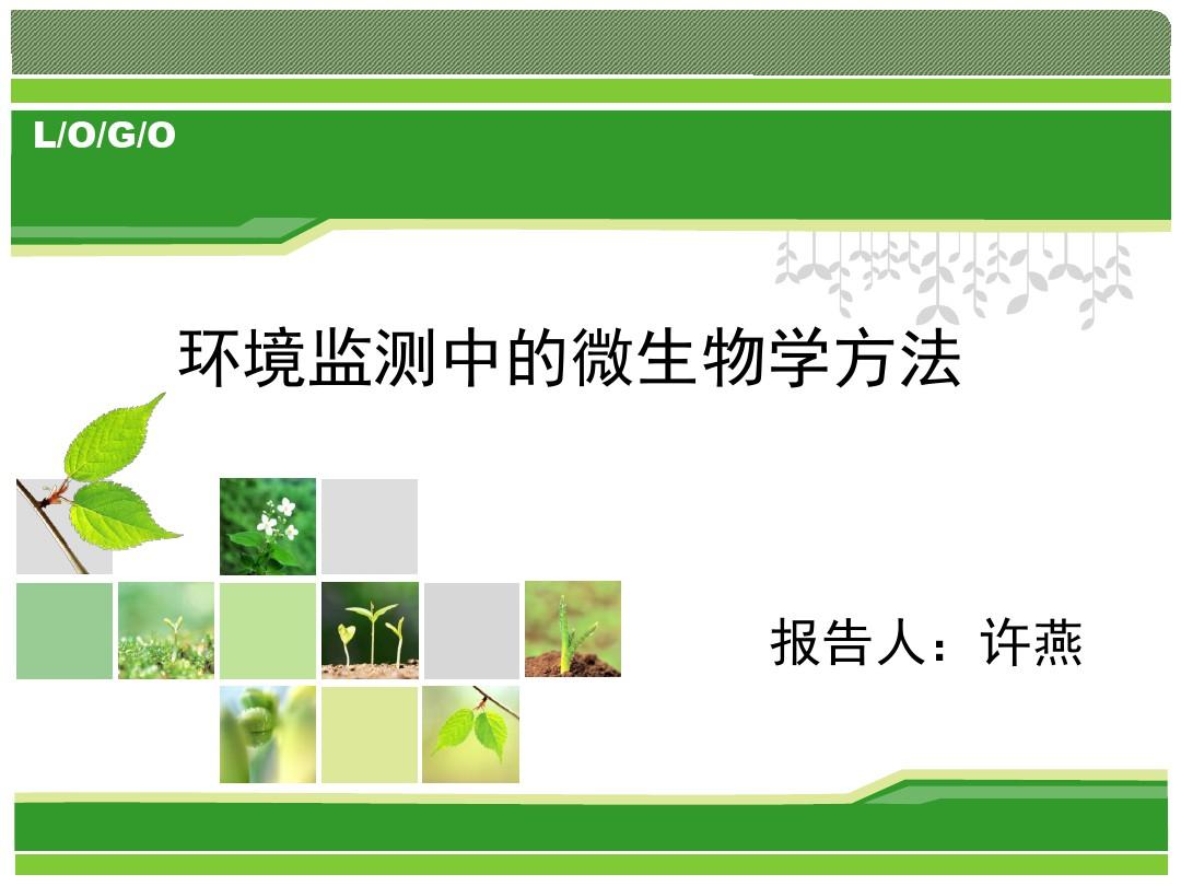 【免费】国外精美动态PPT模板-环保绿色13
