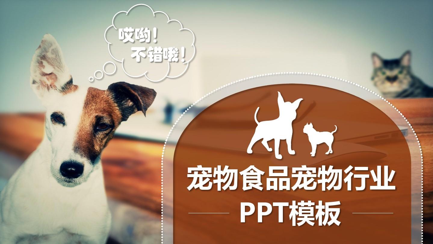 可爱宠物食品宠物店猫狗动物宣传介绍通用PPT模板