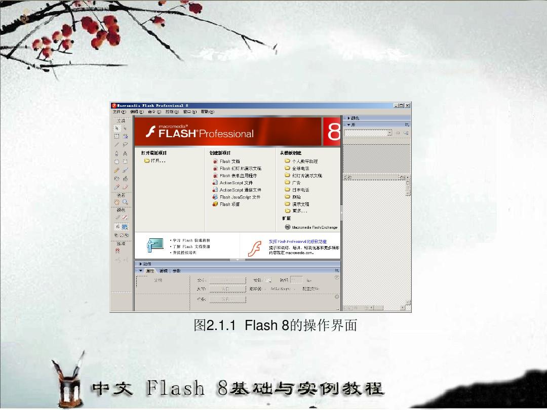 flash 8的工作界面