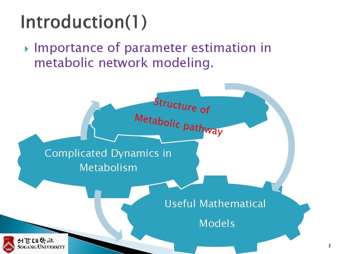 Large-Scale Parameter Estimations