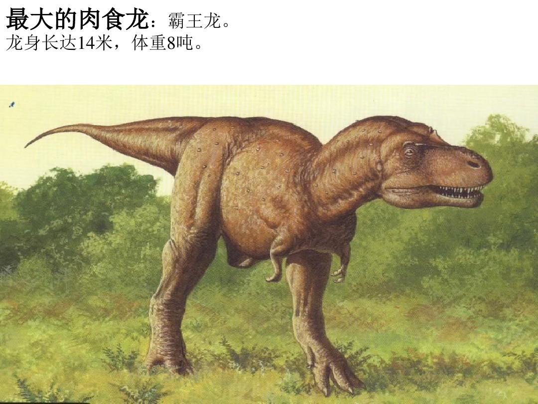 31恐龙的灭绝ppt