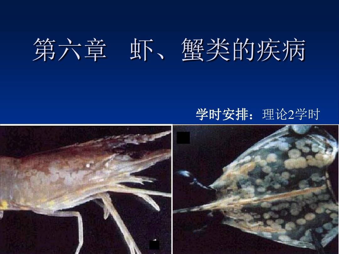 第六章虾蟹类的疾病.