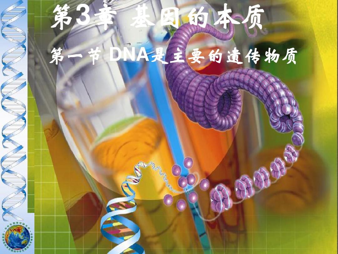 DNA是主要的遗传物质课件 优质课